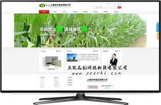 松江網站建設 打造專業商品圖相冊，提升品牌視覺力量